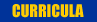 CURRICULA